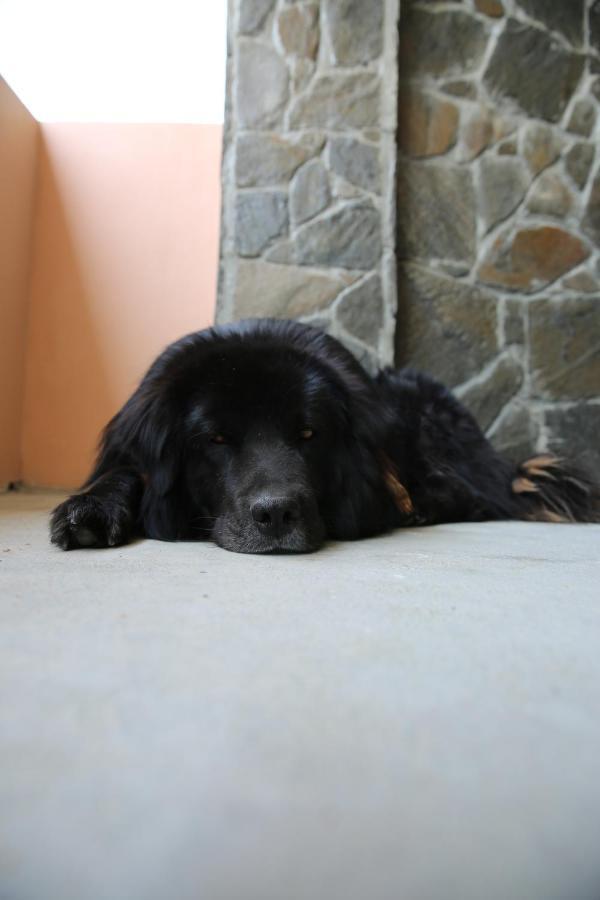 The Buransh Inn Almora Bagian luar foto
