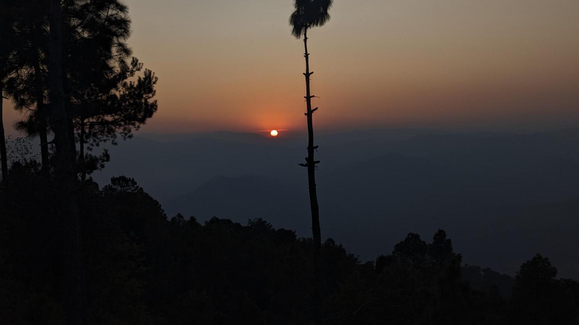 The Buransh Inn Almora Bagian luar foto